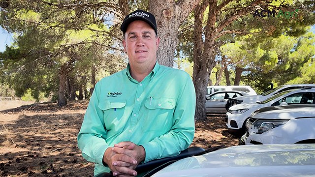 Strong competition on fresh feeder steers at Strathalbyn cattle market