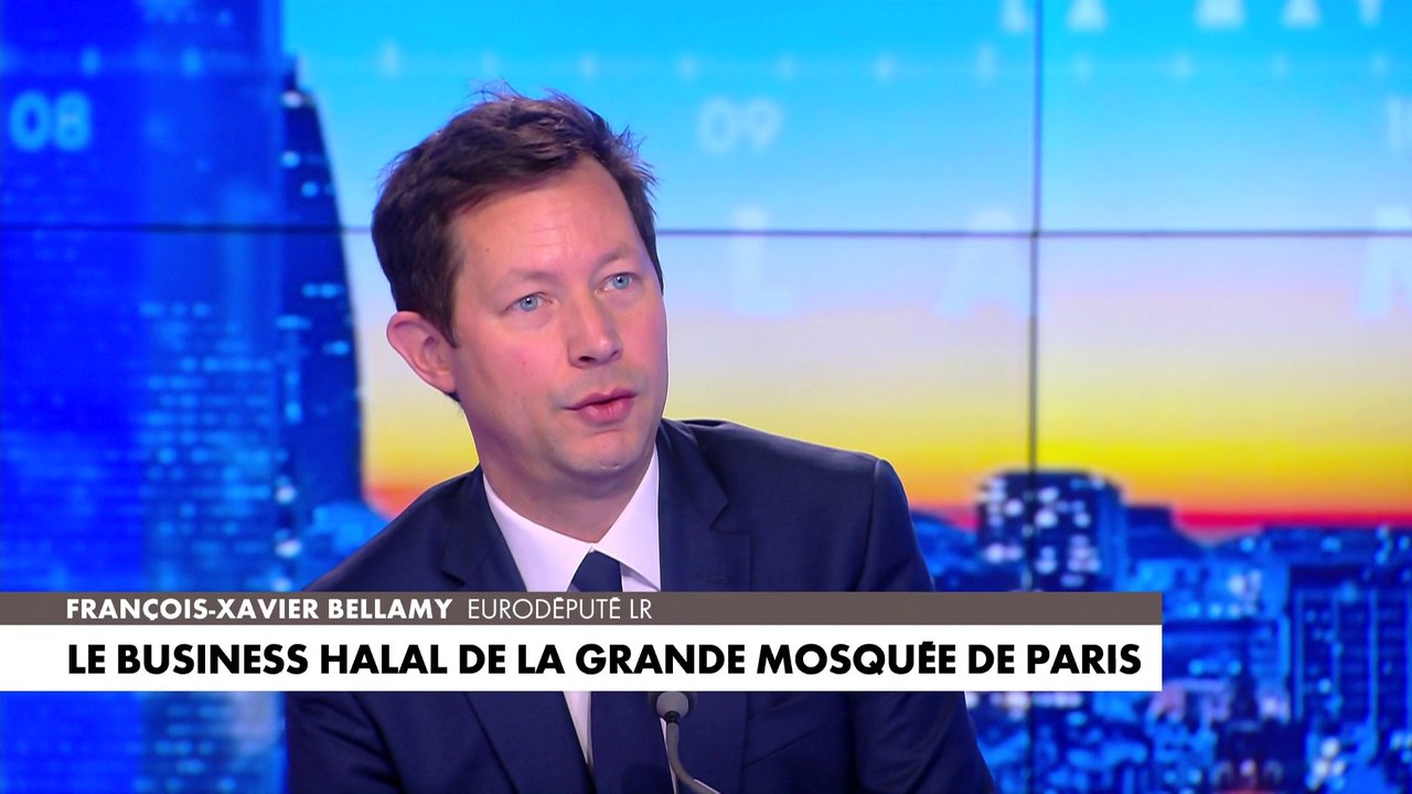 François-Xavier Bellamy : «Nous avons un devoir de lucidité pour défendre nos intérêts»