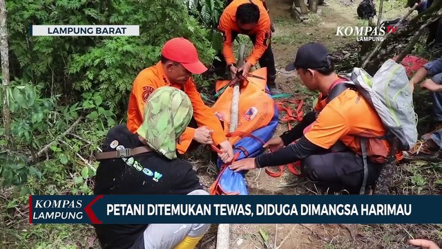 Petani Ditemukan Meninggal Dunia Diduga Dimangsa Harimau