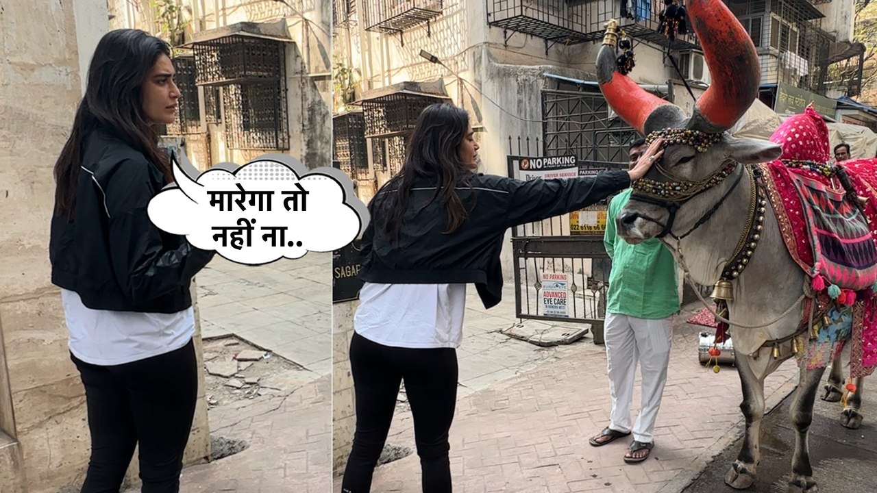 Karishma Tanna का बैल के प्रति दिखा स्वीट जेस्टचर, उसके खाने के लिए घर से मंगवाया गुड