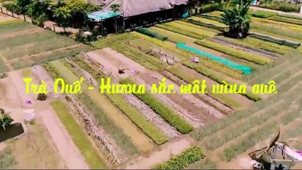 Wonderful experience - Tra Que, Hoi An, Quang Nam, Viet Nam