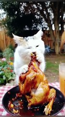 Ai cat video | cat #shorts #viral #viralvideo