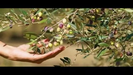 La dieta mediterranea e i suoi benefici, una docuserie su Prime Video