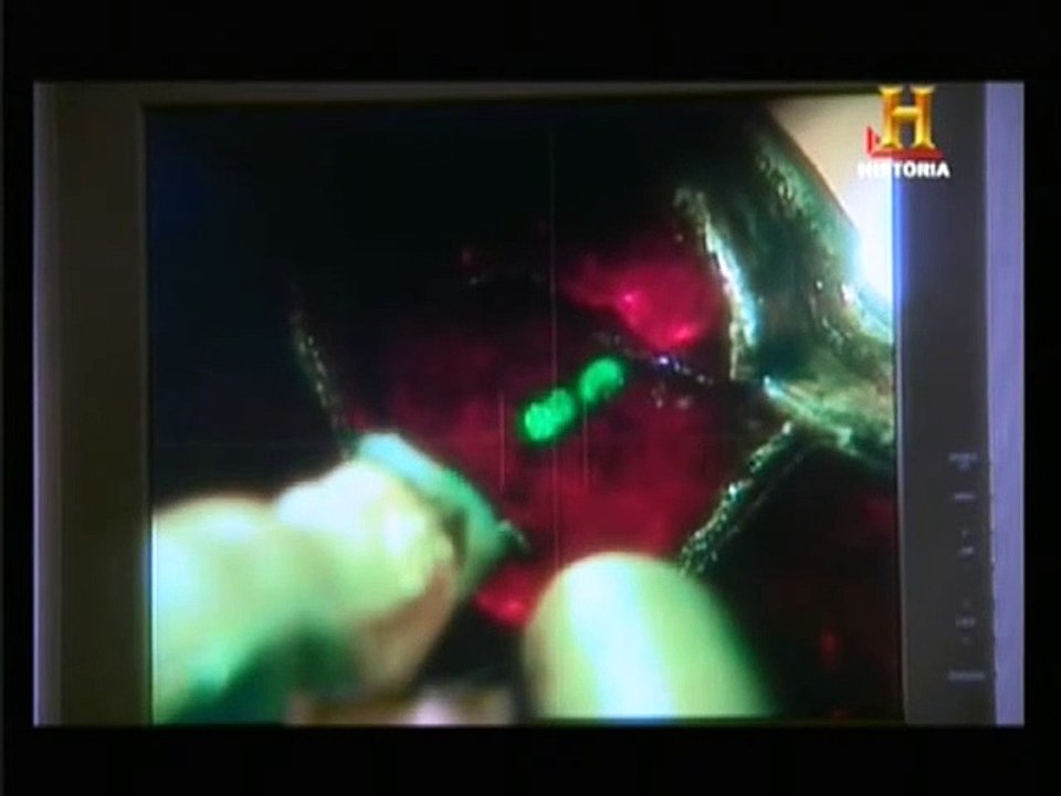 Documental  las tribus germánicas