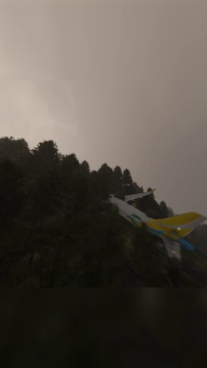 Plane Crash Caused by Poor Visibility in Bad Weather Cebu Pacific A320neo at Montreal Pierre Elliott Trudeau International Airport