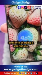 Unveiling the Truth About EV Charging: What You Need to Know