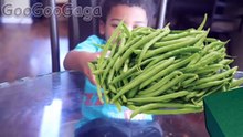 Goo goo Gaga bad baby grandma leprechaun attack kids!!