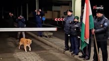 Rumunia w Schengen: Bezpański pies jako pierwszy przekracza granicę z Węgrami