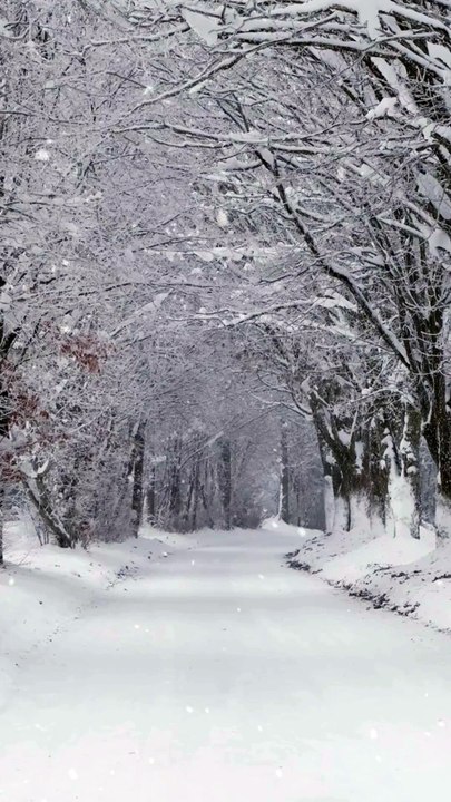 falling snow