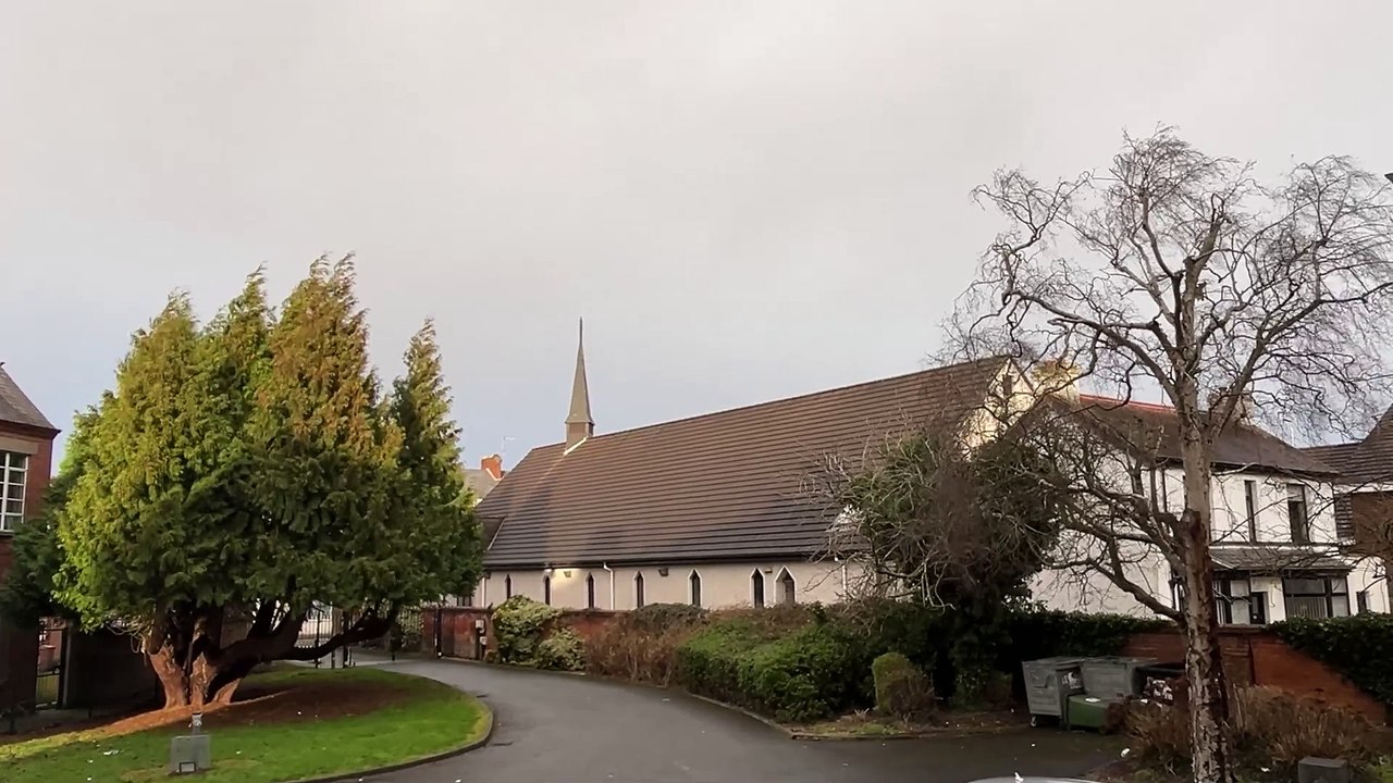 Storm Eowyn: Trees blowing in the wind in Portadown