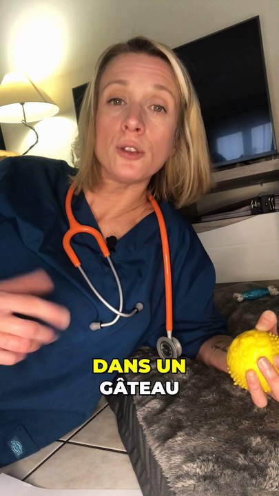 L'odorat de ton chien : un outil super puissant !