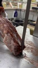 How to cut lamb chops and fat remove