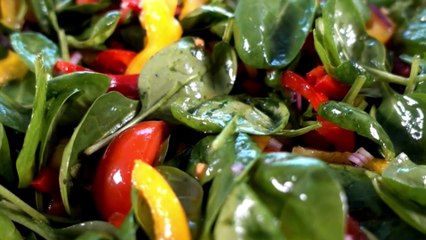 Top 10 Foods that Boost Your Immune System