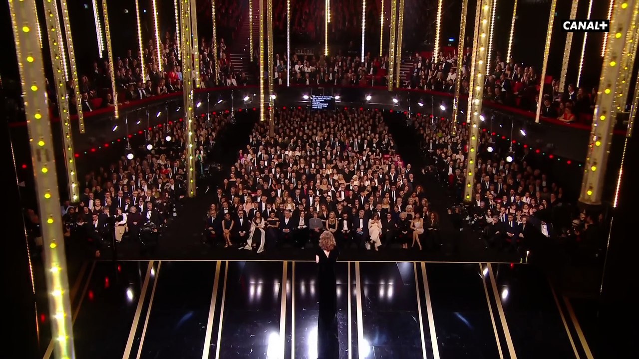 César 2024 : la présidente Valérie Lemercier ouvre la 49e cérémonie sur Canal+ / Jean-Pascal Zadi lors du photocall de la soirée "César Révélations 2025" au Trianon à Paris le 20 janvier 2025.