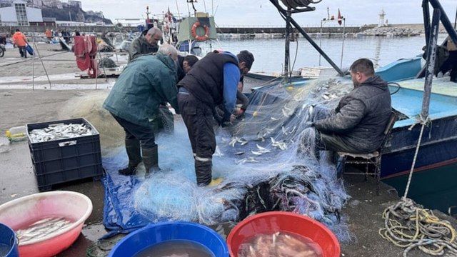 Balıkçılar 2 ton paşa balığıyla limana döndü: Kilosu 350 TL'den tezgahlarda yerini aldı