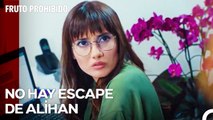 De Nuevo, Tu Jefe Será Alihan - Fruto Prohibido Capitulo 33