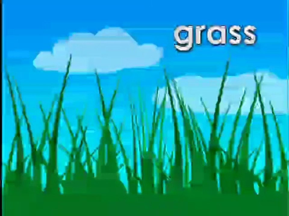 Jibberboosh: Green