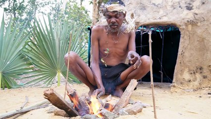 Quail bird recipe in forest