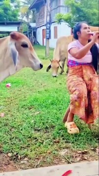 _funny _memes _meme _funnymemes _comedy _lol _dankmemes _memesdaily _fun _love _humor _follow _funnyvideos _instagram _like _dank _instagood _lmao _viral _tiktok _explorepage _jokes _explore _cute(