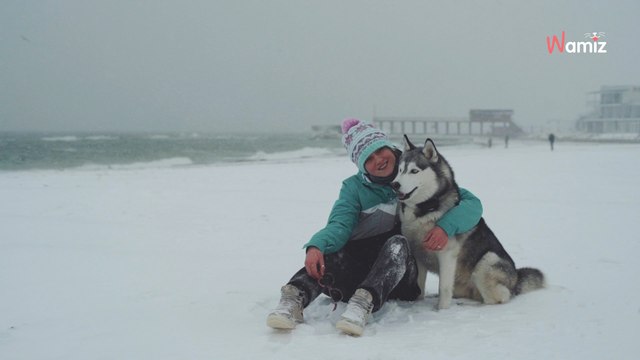 Un célèbre vétérinaire révèle 4 règles essentielles pour s'occuper de son chien lorsqu'il fait très froid