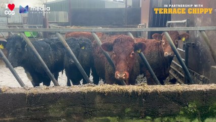 Meet The Farmer Behind The Potatoes Powering Chips, Cheese & Gravy Day