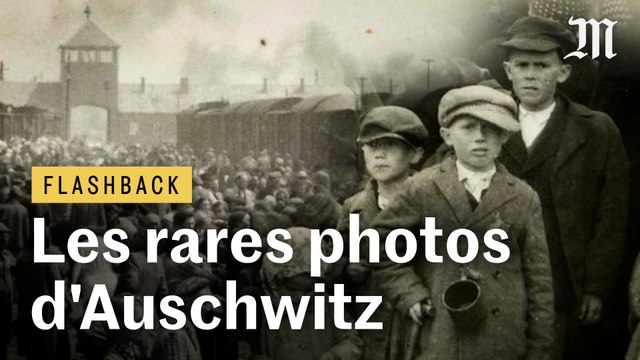 Ce que montrent (et cachent) les rares photographies d’Auschwitz