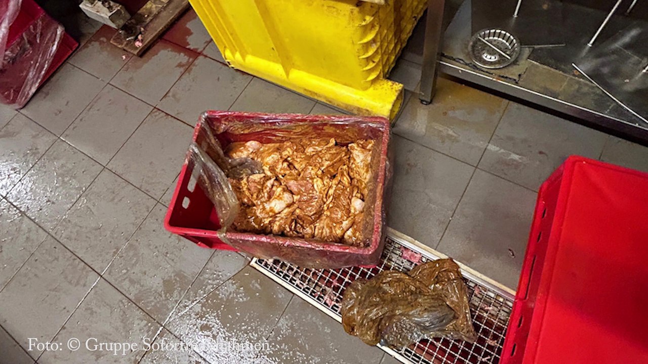 Gruppe Sofortmaßnahmen deckt illegale Fleischerei in Wien Favoriten auf