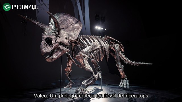 Descobertas Incríveis: Dinossauros Horridus, Aranhas Mortais e Ressurreição Egípcia de Dinos
