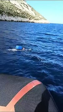 Salvato un cucciolo di delfino impigliato in una rete da pesca il video della Guardia Costiera