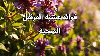 فوائد عشبة القرنفل الصحية (1)