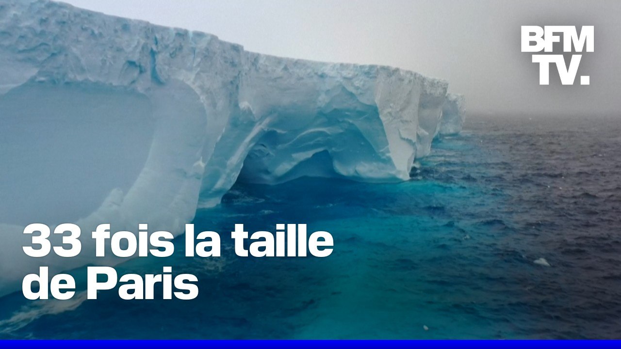 Le plus gros iceberg au monde fonce droit sur une île d'Antarctique peuplée de manchots et de phoques