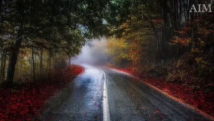 Serenity Now: Beautiful Music for Stress Relief