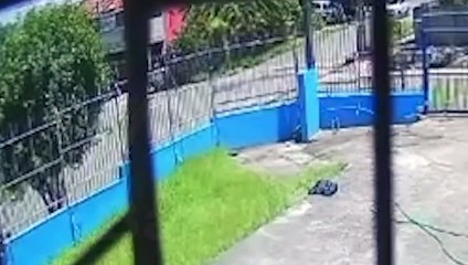 Câmeras flagram carro de mulher que raptou Eloah em Curitiba