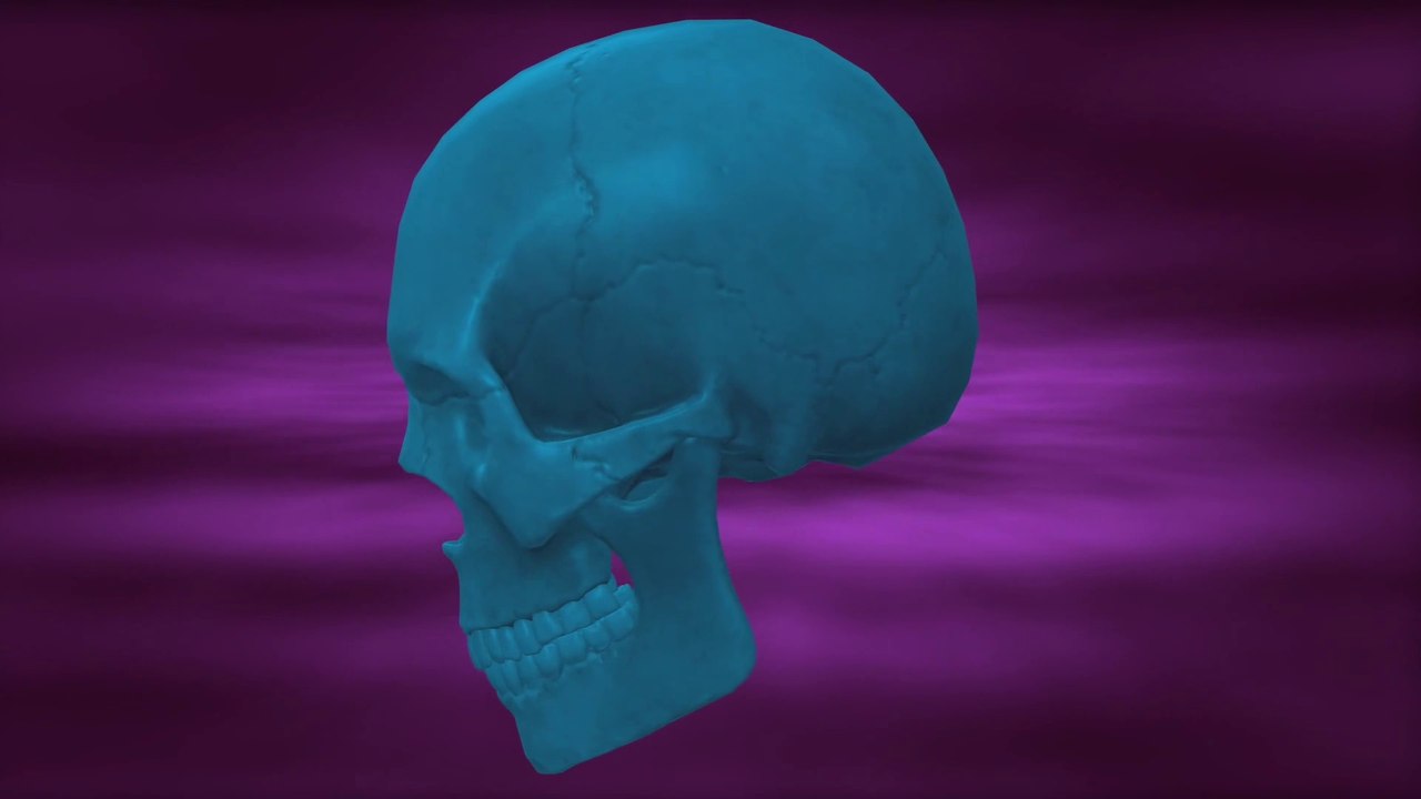 Why Early Humans Had Perfectly Straight Teeth?