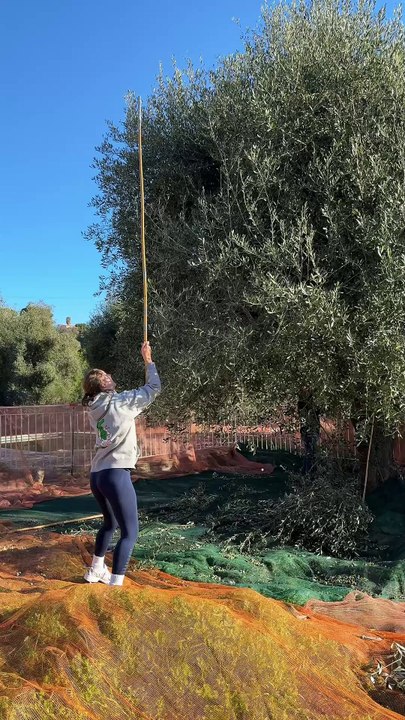 La fameuse « huile de pépé » 🥹✨
