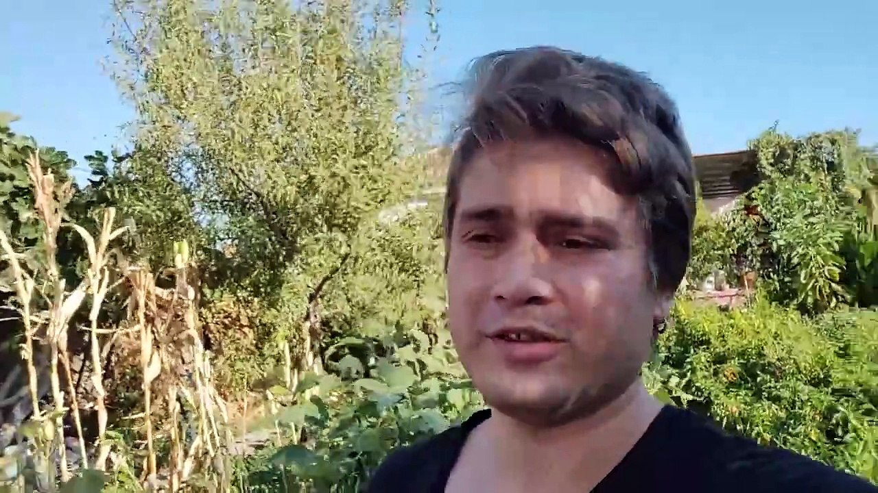 Bahçe Nasıl Yapılır, Neler Yaptım / Doğadayım