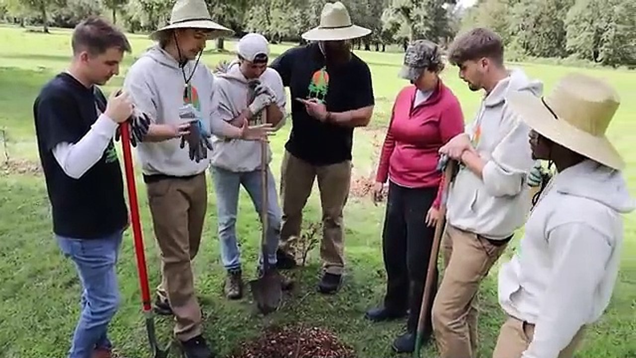 Planting 20,000,000 Trees, My Biggest Project Ever!