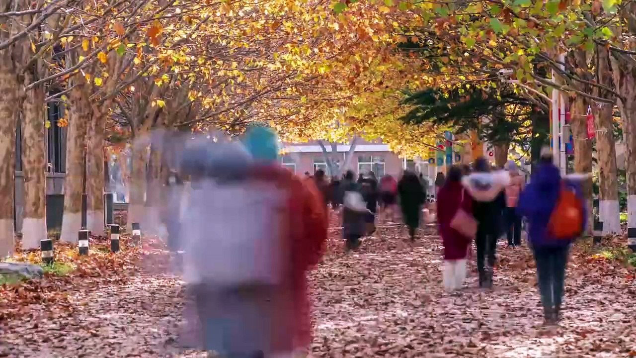 24. Jänner  Internationale Tag der Bildung