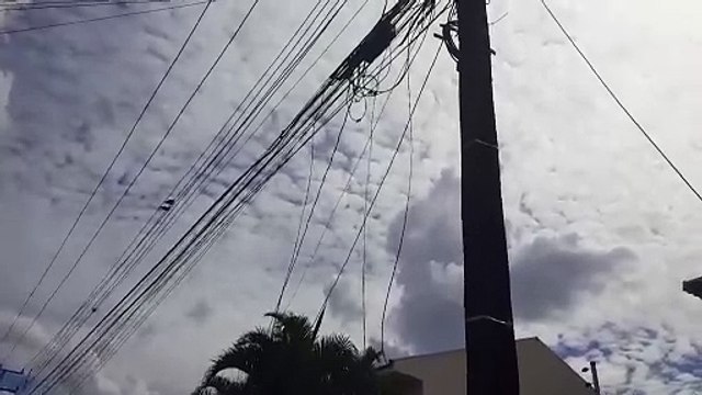 Atenção! Fios estão caídos na Avenida Jaime Duarte Leal