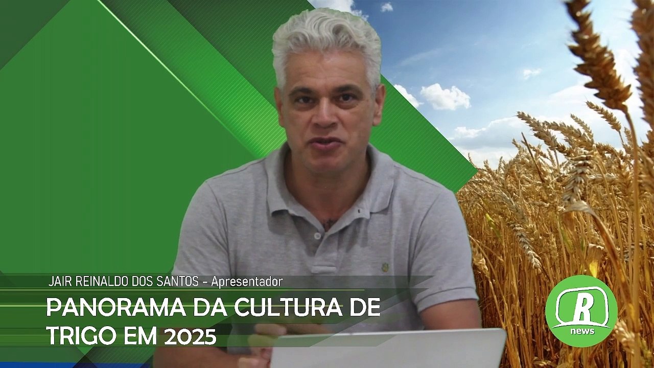 Cenário aponta que 2025 vai ser um ótimo ano para o trigo, afirma especialista