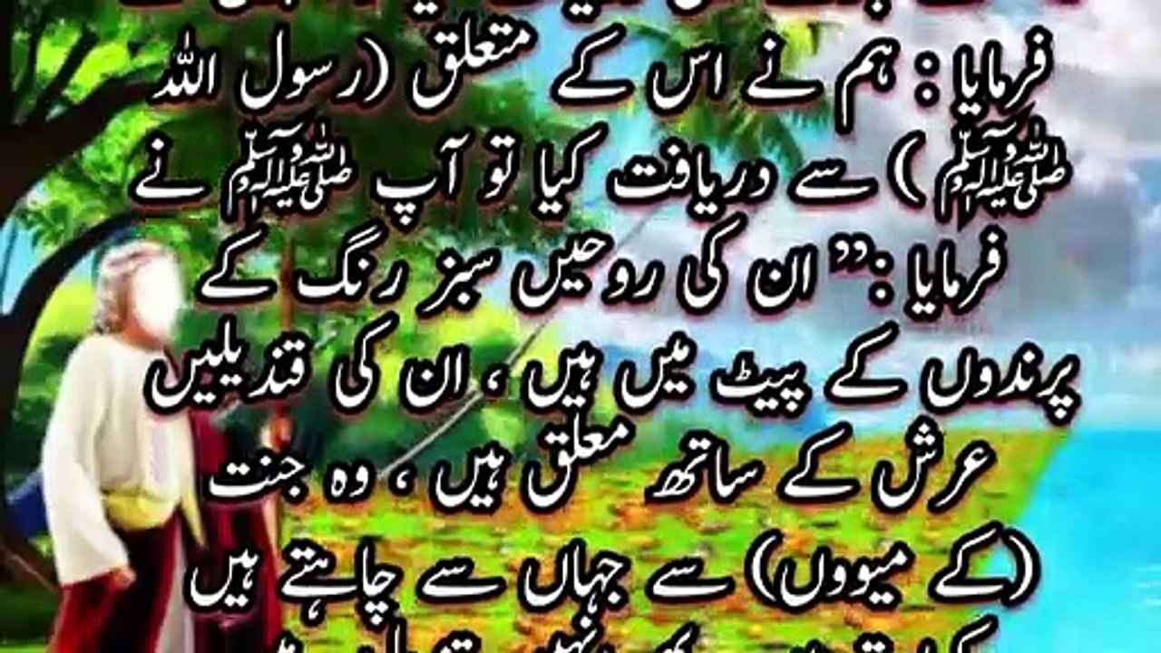 Ruhye Sabz Rang K Parendo K Peet Men Hain | A P islamic studio