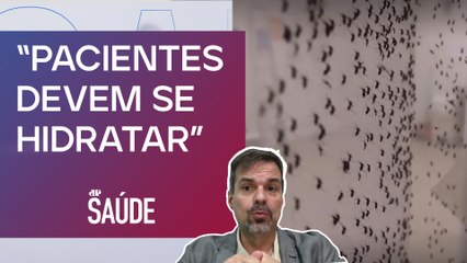 Quais principais sintomas e diagnósticos das arboviroses? | JP SAÚDE