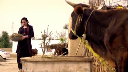 Meshal Malik  New Song 2025 Comming Soon  Jehre Beli Hondin Beparwah  AH Movies Bhakkar