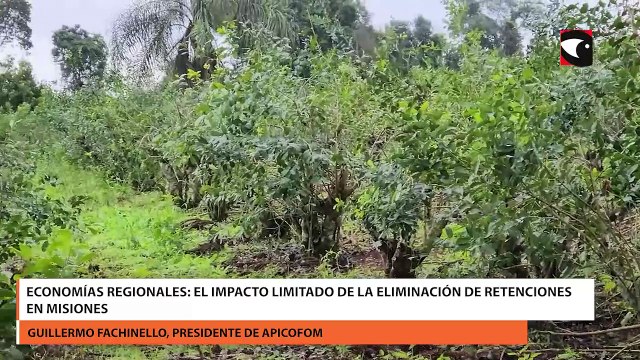 Economías regionales El impacto limitado de la eliminación de retenciones en Misiones