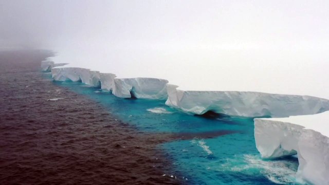 Gigantesco iceberg pode ameaçar filhotes de pinguins em áreas remotas