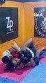 Samo Samo de la Team Paiya veut devenir champion de MMA