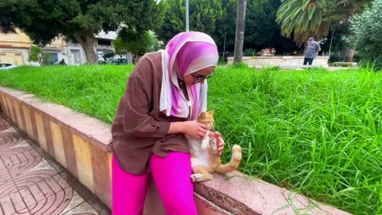 Ginger the cat and his girlfriend are very cute and need love and food.
