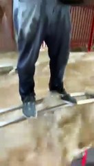 São Paulo Enfrenta Graves Inundações: Veja as Últimas Atualizações 🌧️