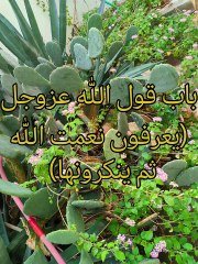 كتاب التوحيد الذي هو حق الله على العبيد ( 19 )