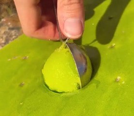 Her ultimate camping hacks! Secret tips for an epic adventure!